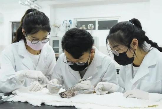 医学专业哪个专业前景好 医学专业前景排名曝光