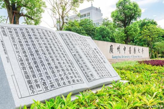 中医与西医相比学哪个更有优势呢 为什么建议学中医