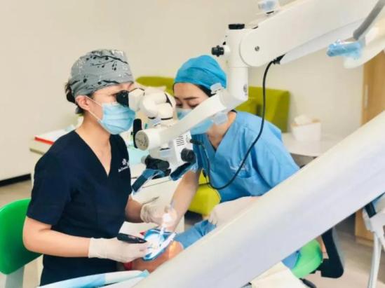 医学专业哪个专业前景好 医学专业前景2024年最新排名 医学专业哪个专业前景好 医学专业前景2024年最新排名