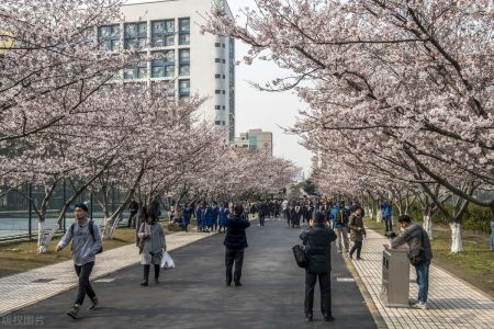 2024年5月中国内地高校新晋ESI前1%的学科 这四所大学上榜