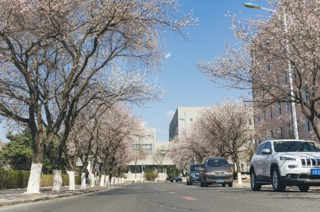 2024年5月中国内地高校新晋ESI前1%的学科 这四所大学上榜