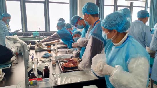 畜牧兽医专业就业前景怎么样(养殖场就业薪资、宠物医院就业薪资) 畜牧兽医专业就业前景怎么样(养殖场就业薪资、宠物医院就业薪资)