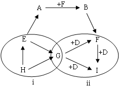 中考化学热点框图推断题专题训练（含答案）