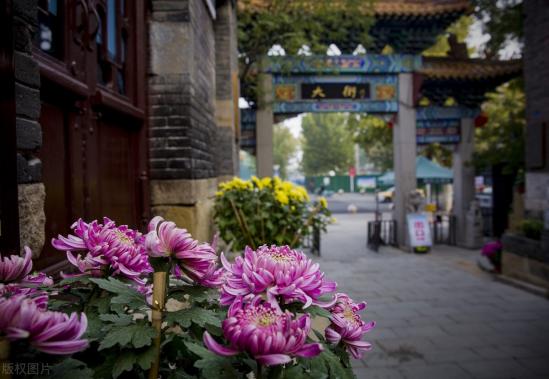 山东省最好的职业院校有哪些（盘点山东的5所优质高职院校）