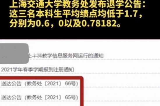 多名985名校生被退学，多年努力全都付之东流，要怪也只能怪自己