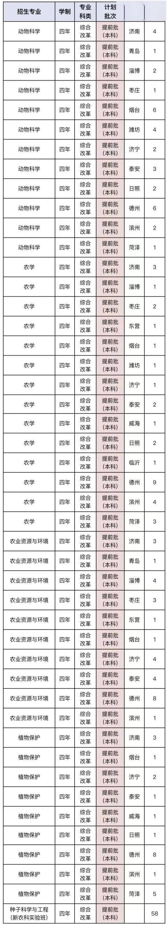 青岛大学、青岛农大、山东建大、鲁东大学招生计划