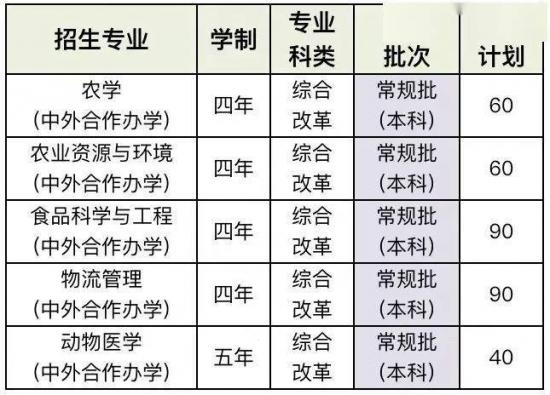 青岛大学、青岛农大、山东建大、鲁东大学招生计划