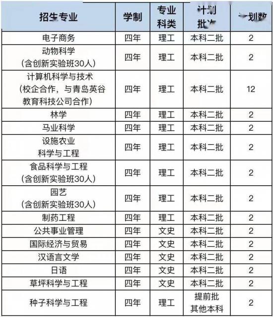 青岛大学、青岛农大、山东建大、鲁东大学招生计划