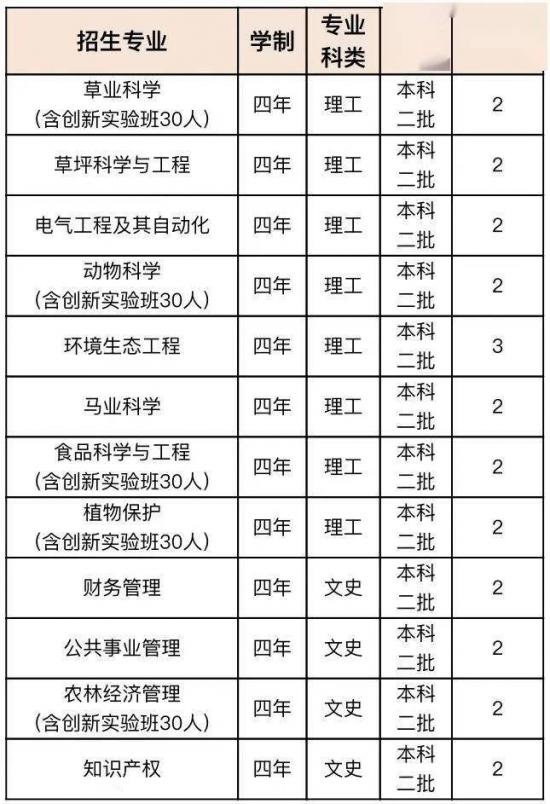 青岛大学、青岛农大、山东建大、鲁东大学招生计划
