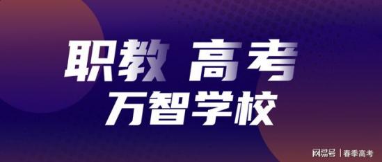 山东职教高考升本率多少（职教高考有优势吗）