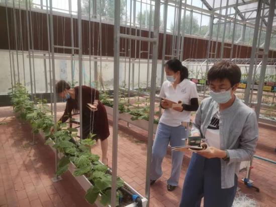 淄博机电工程学校实践基地开展劳动实践主题活动 淄博机电工程学校实践基地开展劳动实践主题活动