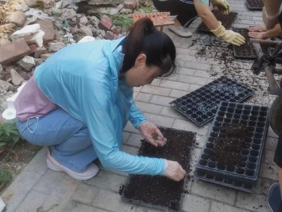 淄博机电工程学校实践基地开展劳动实践主题活动 淄博机电工程学校实践基地开展劳动实践主题活动
