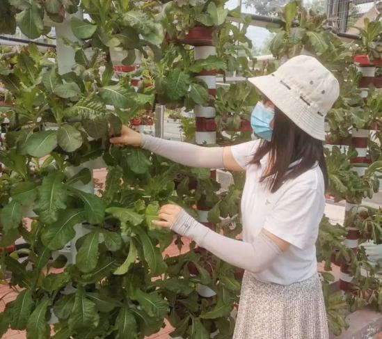 淄博机电工程学校实践基地开展劳动实践主题活动 淄博机电工程学校实践基地开展劳动实践主题活动