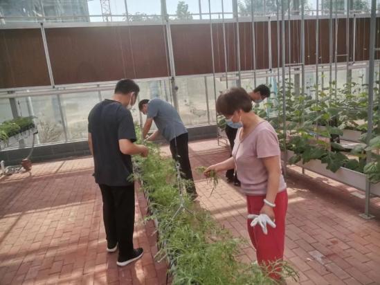 淄博机电工程学校实践基地开展劳动实践主题活动 淄博机电工程学校实践基地开展劳动实践主题活动