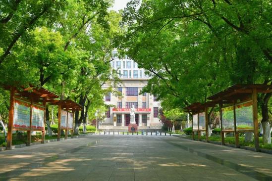 山东农业大学2024年本科招生计划