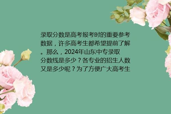 山东中专2024年录取分数线是多少