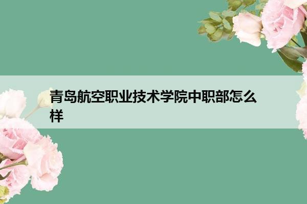 青岛航空职业技术学院中职部怎么样